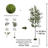 Modern Tall Artificial Olive Tree Branch  Minimalist Faux Indoor Plant Decor 11
