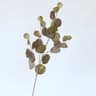 Eucalyptus Money Leaf Faux Greenery Stem For Vases Wedding Tables And Wall Decor 13