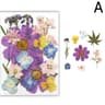 Real Dried Flower Resin Fillers For Nail Art Jewelry  DIY Crafts 5