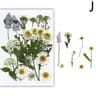 Real Dried Flower Resin Fillers For Nail Art Jewelry  DIY Crafts 14