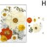 Real Dried Flower Resin Fillers For Nail Art Jewelry  DIY Crafts 12