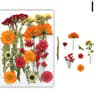 Real Dried Flower Resin Fillers For Nail Art Jewelry  DIY Crafts 13