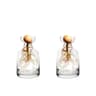 Avocado Seed Starter Vase Set Of 4 Glass Propagation Grow Kit 7