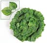 LushTrail Artificial Ivy Garland For Wall Bedroom  Wedding Decor 7