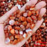 Natural Crystal Chips For Aquarium Gravel Reiki Decor And DIY Crafting 21