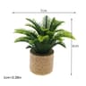 Dollhouse Plants Miniature Potted Garden Decor For Dollhouse Scenes 9