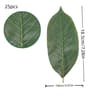 25Piece Artificial Magnolia Leaves Set For Floral Arrangements Wedding Greenery And DIY Home Decor 7