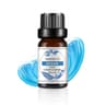 Tropical Mango Pineapple Fragrance Oil For Diffusers Soap And Candles 10