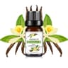 Tropical Mango Pineapple Fragrance Oil For Diffusers Soap And Candles 14