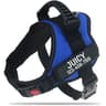 Personalized Adjustable Nylon Dog Vest Harness 10
