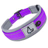 ComfortFit Reflective Padded Dog Collar 11