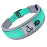 ComfortFit Reflective Padded Dog Collar 16