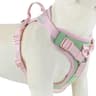 Personalized Dog Harness With Custom Name Patch 9