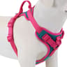 Personalized Dog Harness With Custom Name Patch 11