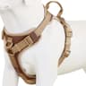 Personalized Dog Harness With Custom Name Patch 12