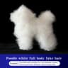Professional Dog Grooming Practice Model For Poodle Styling Training 7