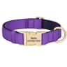 Custom Engraved Waterproof Dog Collar With Soft Padding For Small Medium  Large Dogs 12