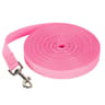 Long Dog Leash For Training Outdoor Nylon Dog Leash 10