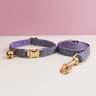 Personalized Cat Collar With Bell And Engraved ID Tag Leash Set 10