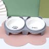 Elevated Ceramic Double Cat Bowl For Food And Water 7