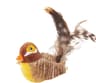 GiGwi Chirping Feather Cat Toy For Indoor Hunting Play 6