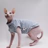 CoolComfort Hairless Cat Summer Vest  Soft Stretch Sphynx Cat Clothes  Breathable Hairless Cat Shir 9