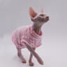 CoolComfort Hairless Cat Summer Vest  Soft Stretch Sphynx Cat Clothes  Breathable Hairless Cat Shir 10