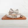 Personalized Engraved Dog  Cat Collar With Bow Tie And ID Tag 8