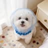Breathable AntiSwallowing Dog Muzzle For Small Dogs 9