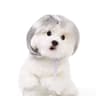 Funny Adjustable Pet Cosplay Wig For Dogs And Cats Halloween Costume 9