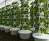 Vertical Hydroponic Tower Planter Intelligent Soilless Vegetable Growing Column 1