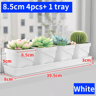 Square Ventilated Plastic Flower Pot Succulent Planter With Thick Drainage Tray 3