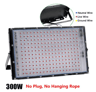 Full Spectrum LED Phyto Lamp For Indoor Plants  50W  100W  300W Grow Light 5