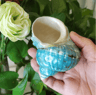 Natural Hermit Crab Shell Set  Decorative Large Seashells For Decor 911cm Coastal Accents 3
