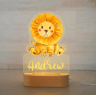 Personalized Custom Name Night Light Acrylic USB LED Lamp For Kids 25