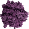 Artificial Reindeer Moss Decor  NaturalLook Green Moss For Crafts  Plant Styling 4