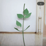 63Inch Floor Standing Flower Pole Stand Giant Paper Flower Display Base For Weddings  Events 8