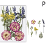 Natural Dried Flower Resin Fillings  Real Pressed Flowers For Nail Art  DIY Crafts 1