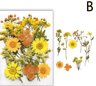 Natural Dried Flower Resin Fillings  Real Pressed Flowers For Nail Art  DIY Crafts 15
