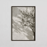 Minimalist Olive Tree Canvas Wall Art  Mediterranean Frameless Still Life Poster 2