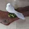Artificial Dove  Pigeon Model Realistic Bird Decor For Wedding  Photography 1