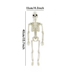 LifeSize Halloween Skeleton Decoration  Spooky Haunted House Prop For Parties 1