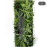 Artificial Eucalyptus Green Wall Panel  Wedding Backdrop  Grid Decor 40by120cm 16