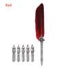 Luxury Vintage Feather Quill Pen Set With Gift Box  5 Nibs 7
