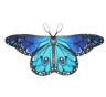 Butterfly Wings Fairy Cape For Girls Dress Up  Costume Play 1