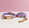 Charm Paws Personalized Cat Collar  Leash Set With Bell And Engraved Name Tag 8