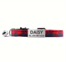Personalized Plaid Cat Collar Adjustable Breakaway Kitten Collar With Bell  ID Tag 3