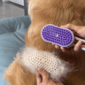 Electric Pet Spray Comb For Cats  Dogs With Self Cleaning Massage Brush 2