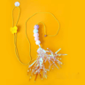 Hunt Bounce Automatic Door Hanging Cat Toy With Jumping YoYo Actio 6