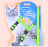 SecureFit Nylon Cat Harness And Leash Set For Everyday Adventures 3